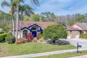 1415 HOVERSHAM DRIVE, NEW PORT RICHEY, FL 34655 Sold 04/05/24