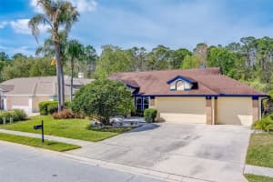 1415 HOVERSHAM DRIVE, NEW PORT RICHEY, FL 34655 Sold 04/05/24