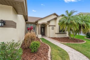 12927 TAR FLOWER DRIVE, TAMPA, FL 33626 Sold 05/30/24