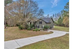 8111 WOODLEAF BOULEVARD, WESLEY CHAPEL, FL 33544 Sold 04/17/24