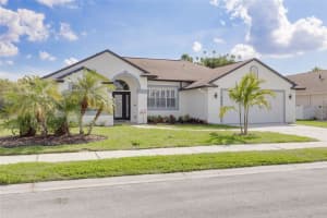 861 CHRISTINA CIRCLE, OLDSMAR, FL 34677 Sold 04/16/24