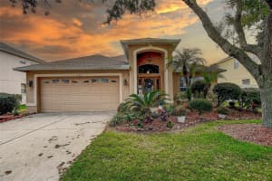 1530 SWEETSPIRE DRIVE, TRINITY, FL 34655 Sold 04/17/24