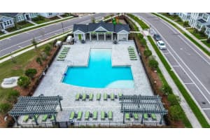 28794 ORANGE BERRY DRIVE, WESLEY CHAPEL, FL 33543 Sold 07/19/24