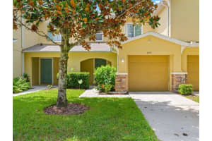 4535 Limerick Dr, TAMPA