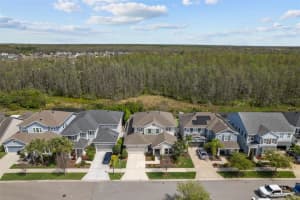 14937 RENAISSANCE AVENUE, ODESSA, FL 33556 Sold 07/01/24