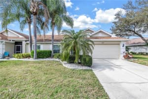 1123 MCDANIEL STREET, SUN CITY CENTER, FL 33573 Sold 01/15/25