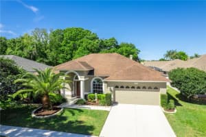 9639 FOX HEARST ROAD, TAMPA, FL 33647 Sold 05/10/24