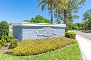 9639 FOX HEARST ROAD, TAMPA, FL 33647 Sold 05/10/24
