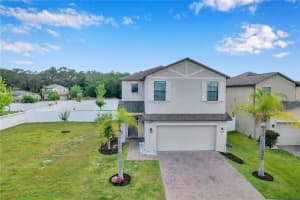 20010 SATIN LEAF AVENUE, TAMPA, FL 33647 Sold 06/07/24