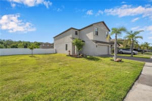 20010 SATIN LEAF AVENUE, TAMPA, FL 33647 Sold 06/07/24
