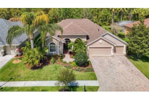 27433 WATER ASH DRIVE, WESLEY CHAPEL, FL 33544 Sold 07/24/24