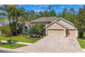 27433 WATER ASH DRIVE, WESLEY CHAPEL, FL 33544 Sold 07/24/24