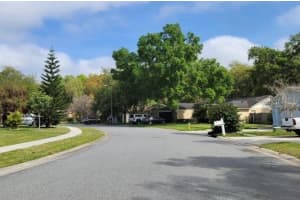 24449 PAINTER DRIVE, LAND O LAKES, FL 34639 - MLS#MFRU8234796