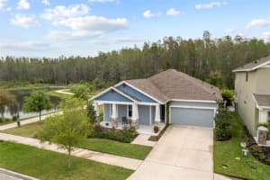 15241 RENAISSANCE AVENUE, ODESSA, FL 33556 Sold 06/10/24