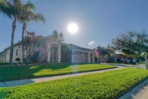 19717 WYNDCLIFF DRIVE, ODESSA, FL 33556 Sold 06/17/24