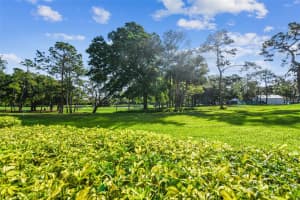 36750 US HIGHWAY 19 N #23105, PALM HARBOR, FL 34684 Sold 10/31/24