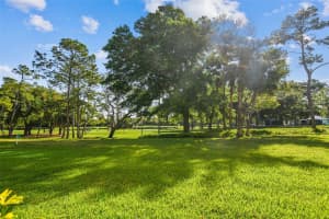 36750 US HIGHWAY 19 N #23105, PALM HARBOR, FL 34684 Sold 10/31/24