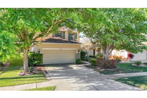 19754 TIMBERBLUFF DRIVE, LAND O LAKES, FL 34638 Sold 06/18/24
