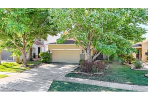 19754 TIMBERBLUFF DRIVE, LAND O LAKES, FL 34638 Sold 06/18/24