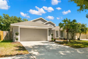 4506 NEW DAWN COURT, LUTZ, FL 33558 Sold 05/06/24