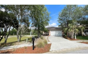 1823 TWILIGHT TIDES STREET, TARPON SPRINGS, FL 34689 Sold 04/09/25