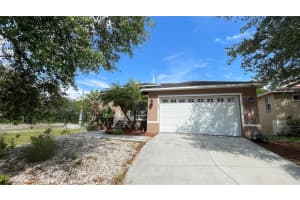 1823 TWILIGHT TIDES STREET, TARPON SPRINGS, FL 34689 Sold 04/09/25