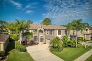 15608 SHOAL CREEK PLACE, ODESSA, FL 33556 Sold 05/29/24