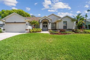3036 PINEVIEW DRIVE, HOLIDAY, FL 34691 Sold 06/15/24