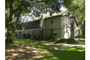4209 WINDING MOSS TRAIL, TAMPA, FL 33613 Sold 09/09/24