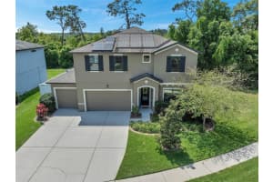 19812 LONESOME PINE DRIVE, LAND O LAKES, FL 34638 Sold 07/17/24