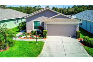 10025 BROOKDALE DRIVE, NEW PORT RICHEY, FL 34655 Sold 06/03/24