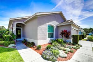 10025 BROOKDALE DRIVE, NEW PORT RICHEY, FL 34655 Sold 06/03/24