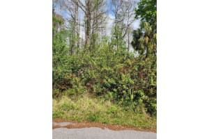 9855 FULTON AVENUE, HUDSON, FL 34667 - MLS#MFRU8238047