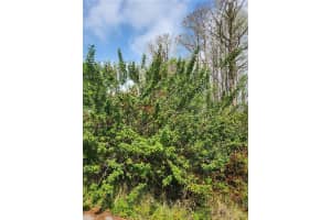 9855 FULTON AVENUE, HUDSON, FL 34667 - MLS#MFRU8238047