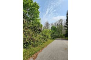 9855 FULTON AVENUE, HUDSON, FL 34667 - MLS#MFRU8238047