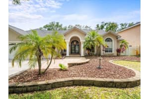 4942 FELECITY WAY, PALM HARBOR, FL 34685 Sold 05/01/25