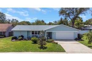2953 DEER RUN, CLEARWATER, FL 33761 Sold 05/17/24