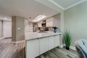 9356 WESTLINKS TERRACE, SEMINOLE, FL 33777 Sold 06/20/24
