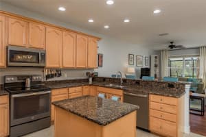 1264 RIBOLLA DRIVE, PALM HARBOR, FL 34683 Sold 10/03/24