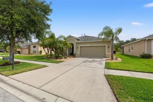 20215 MERRY OAK AVE, TAMPA, FL 33647 Sold 06/14/24