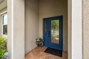 20215 MERRY OAK AVE, TAMPA, FL 33647 Sold 06/14/24