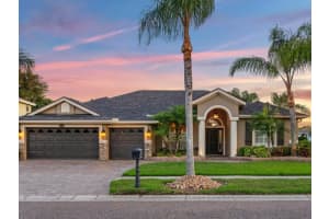 16544 IVY LAKE DRIVE, ODESSA, FL 33556 Sold 05/17/24