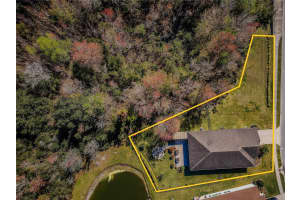 4861 ROLLING GREENE DRIVE, WESLEY CHAPEL, FL 33543 Sold 11/14/24