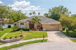 8935 WAVYEDGE COURT, TRINITY, FL 34655 Sold 08/20/24