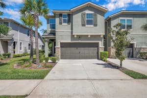 14231 DAMSELFLY DRIVE, TAMPA, FL 33625 Sold 10/07/24