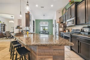 19911 LONESOME PINE DRIVE, LAND O LAKES, FL 34638 Sold 06/20/24