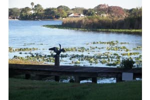 1005 BAYSHORE BOULEVARD, SAFETY HARBOR, FL 34695 Sold 05/24/24