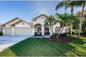 16418 TURNBURY OAK DRIVE, ODESSA, FL 33556 Sold 07/09/24