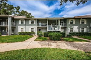 1420 OAK HILL DRIVE, DUNEDIN, FL 34698 Sold 09/04/24