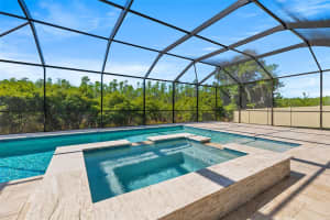 6054 MARSH TRAIL, ODESSA, FL 33556 Sold 06/28/24